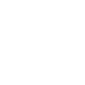 Iconos-05